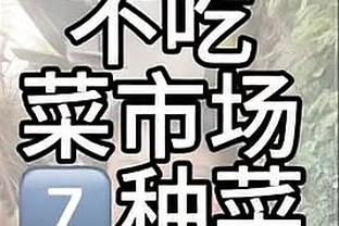 金宝搏体育app